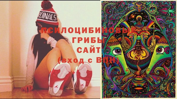 мескалин Дмитриев